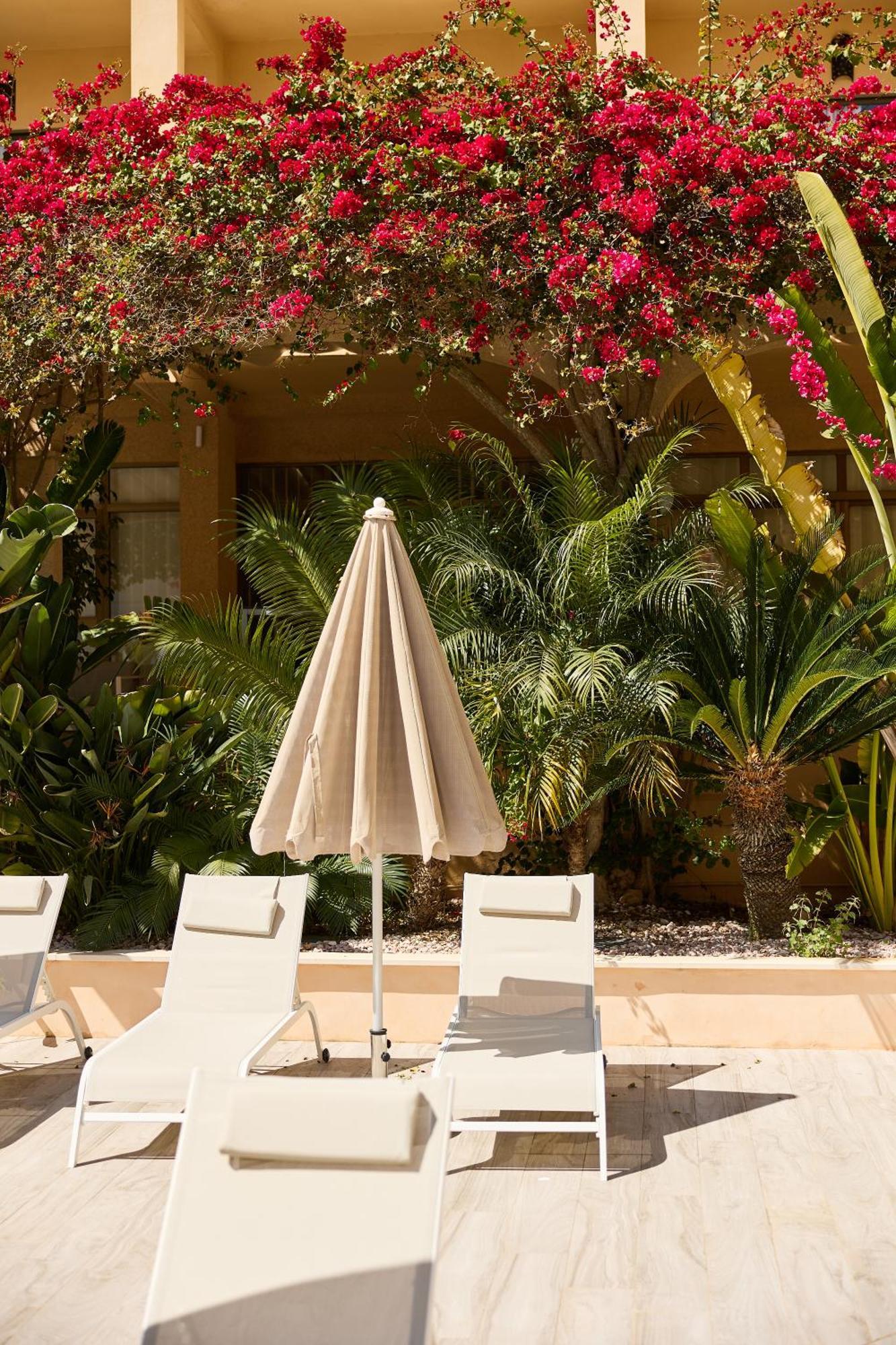 Apartamentos Isla Del Sol กานปาสติยา ภายนอก รูปภาพ